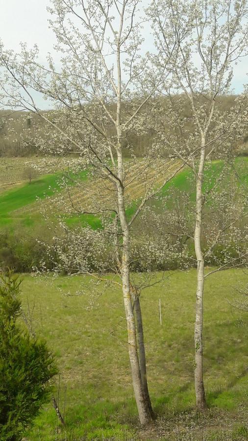 Bed and Breakfast Taillefer Saint Paul de Loubressac Exterior foto